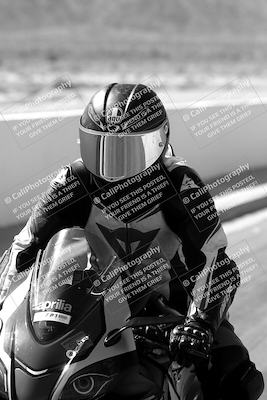 media/Mar-08-2025-TrackXperience (Sat) [[277b597a28]]/1-Around the Pits - Pre Grid/